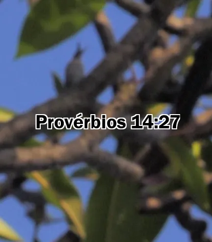 Provérbios 14:27
