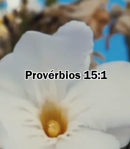 Provérbios 15:1