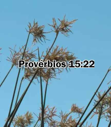 Provérbios 15:22