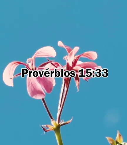 Provérbios 15:33