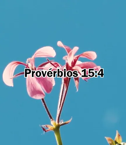Provérbios 15:4