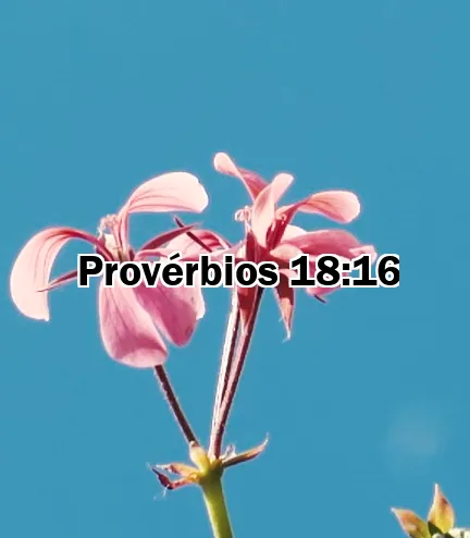 Provérbios 18:16