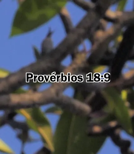 Provérbios 18:9