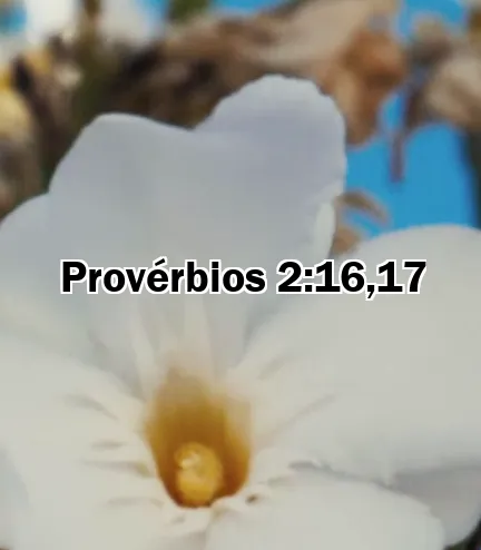 Provérbios 2:16,17