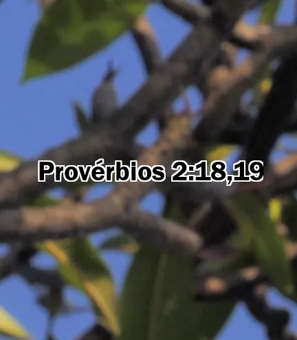 Provérbios 2:18,19