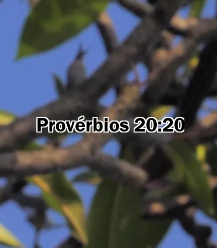 Provérbios 20:20