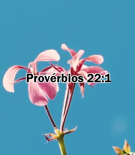 Provérbios 22:1