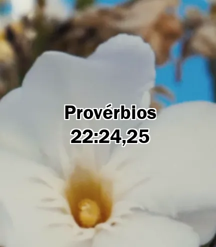Provérbios 22:24,25