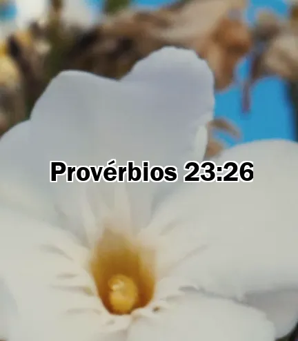 Provérbios 23:26