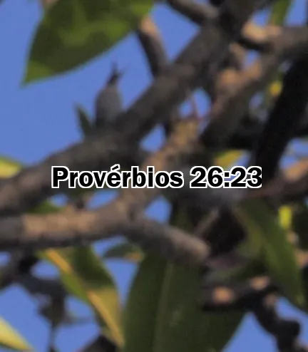Provérbios 26:23
