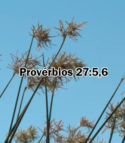 Provérbios 27:5,6