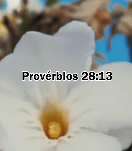 Provérbios 28:13