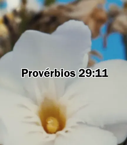 Provérbios 29:11