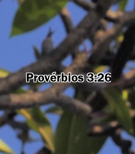 Provérbios 3:26
