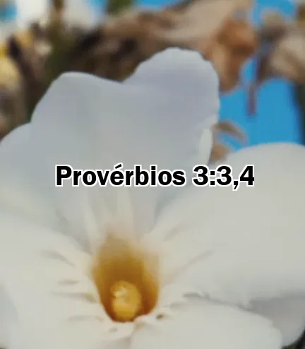 Provérbios 3:3,4