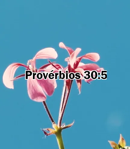 Provérbios 30:5