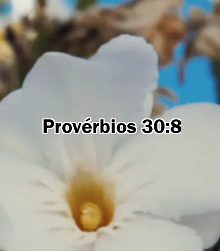 Provérbios 30:8
