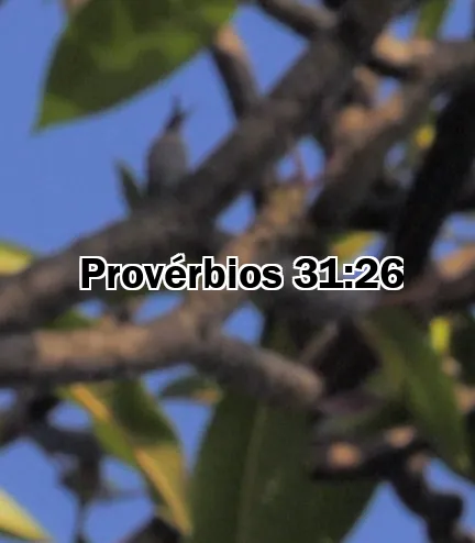 Provérbios 31:26