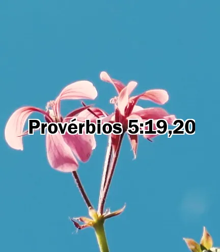 Provérbios 5:19,20