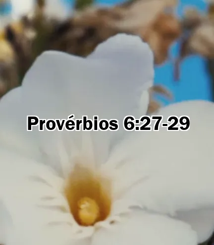 Provérbios 6:27-29
