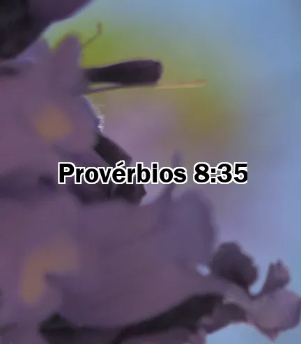 Provérbios 8:35