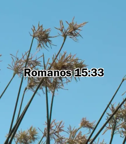 Romanos 15:33