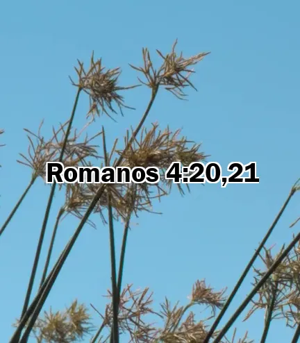 Romanos 4:20,21