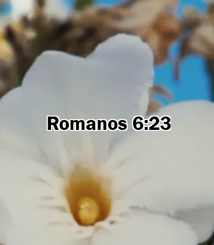Romanos 6:23