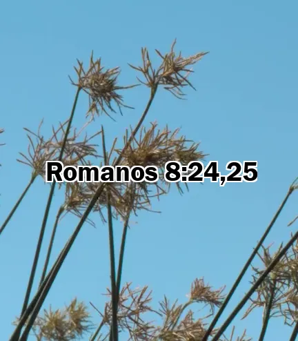 Romanos 8:24,25