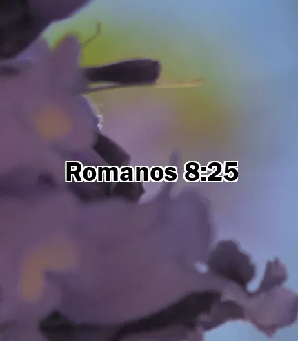 Romanos 8:25