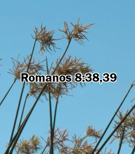 Romanos 8:38,39