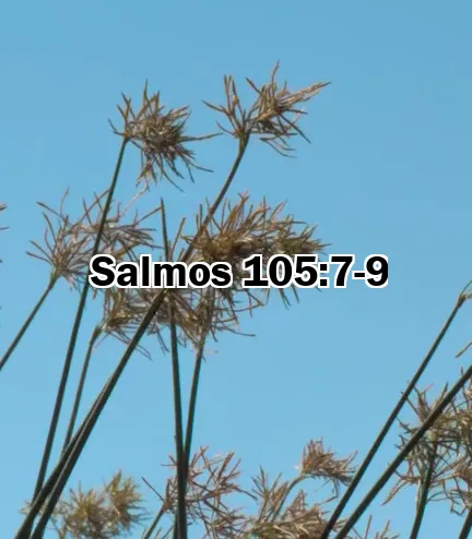 Salmos 105:7-9