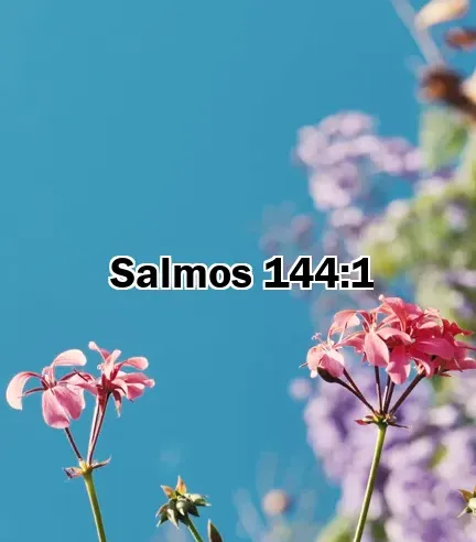 Salmos 144:1