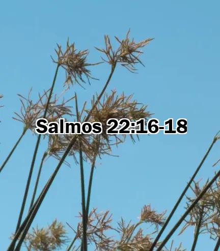 Salmos 22:16-18