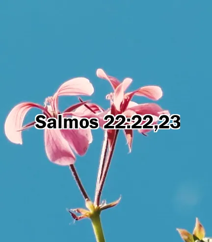 Salmos 22:22,23