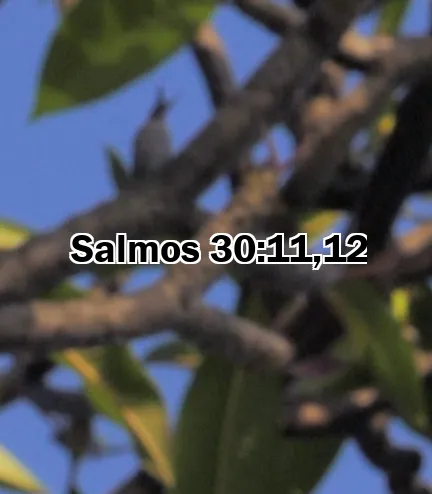 Salmos 30:11,12