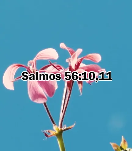 Salmos 56:10,11