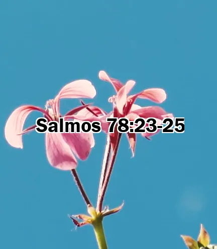 Salmos 78:23-25