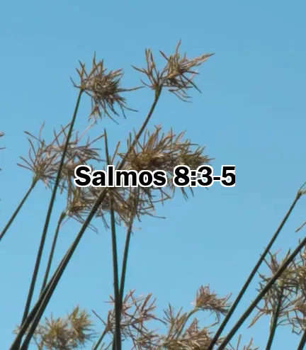 Salmos 8:3-5