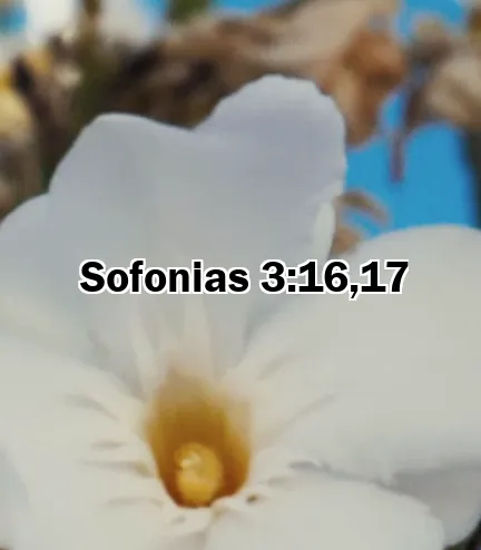 Sofonias 3:16,17