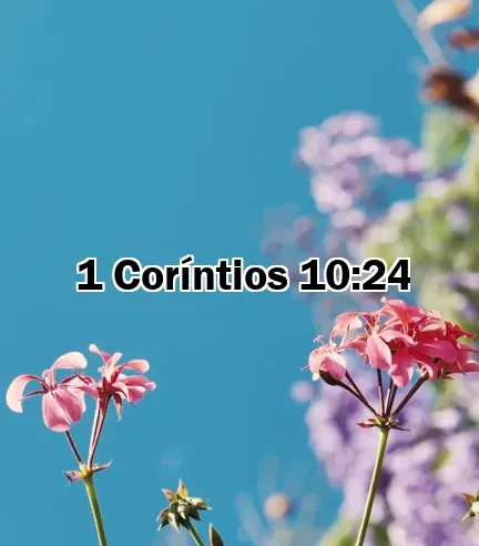 1 Coríntios 10:24