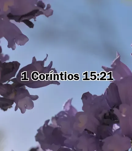 1 Coríntios 15:21