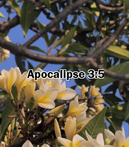 Apocalipse 3:5