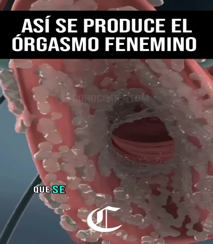 Así se produce el Órgasmo Femenino ‍️