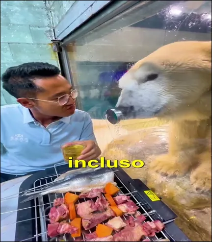 AYUDEMOS A ESTE OSO POLAR!