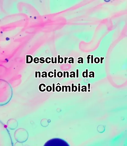 Descubra a flor nacional da Colômbia!