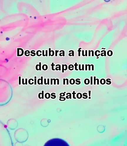 Descubra a função do tapetum lucidum nos olhos dos gatos!