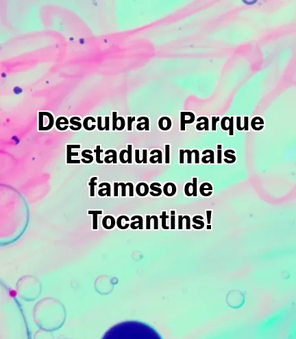 Descubra o Parque Estadual mais famoso de Tocantins!