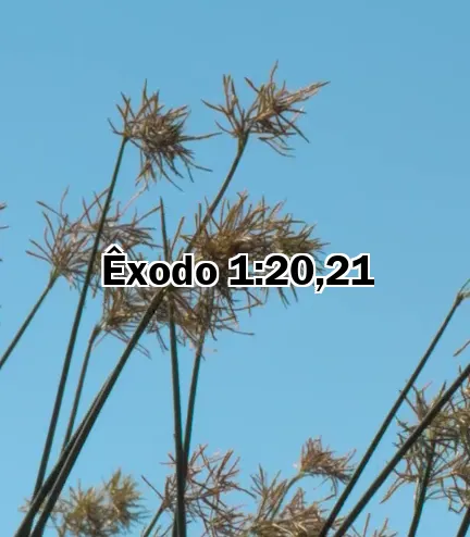 Êxodo 1:20,21