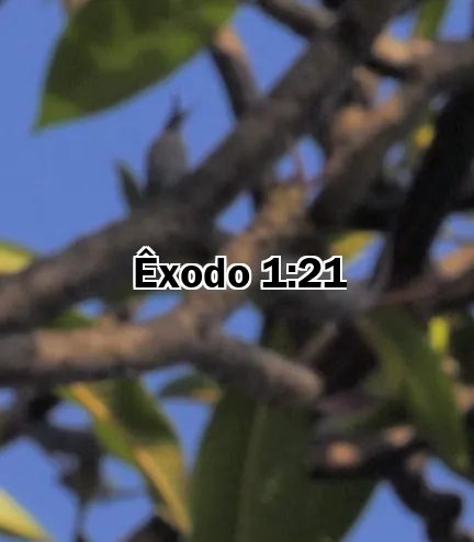 Êxodo 1:21